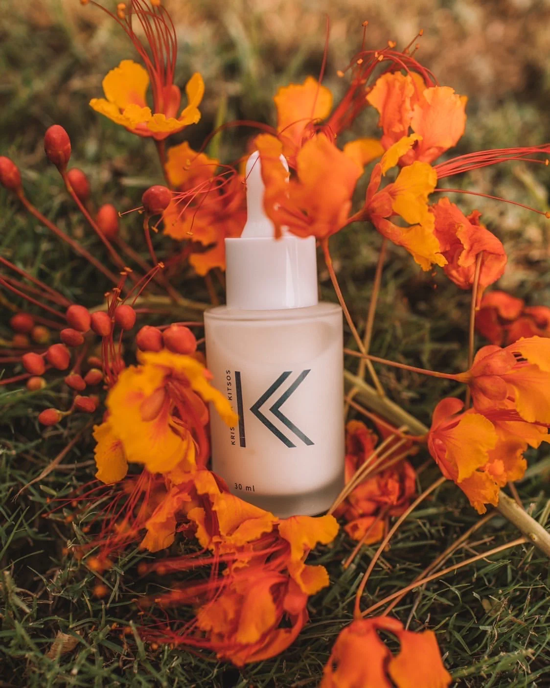 The Elixir - Image 7